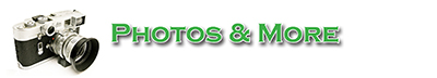 photo section icon