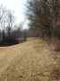 levee before
